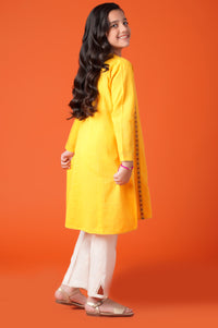 Stitched 1 Piece Embroidered Khaddar Shirt
