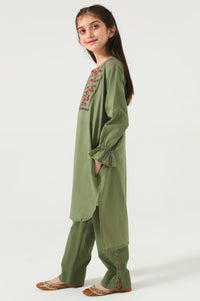Stitched 2 Piece Embroidered Cambric Suit