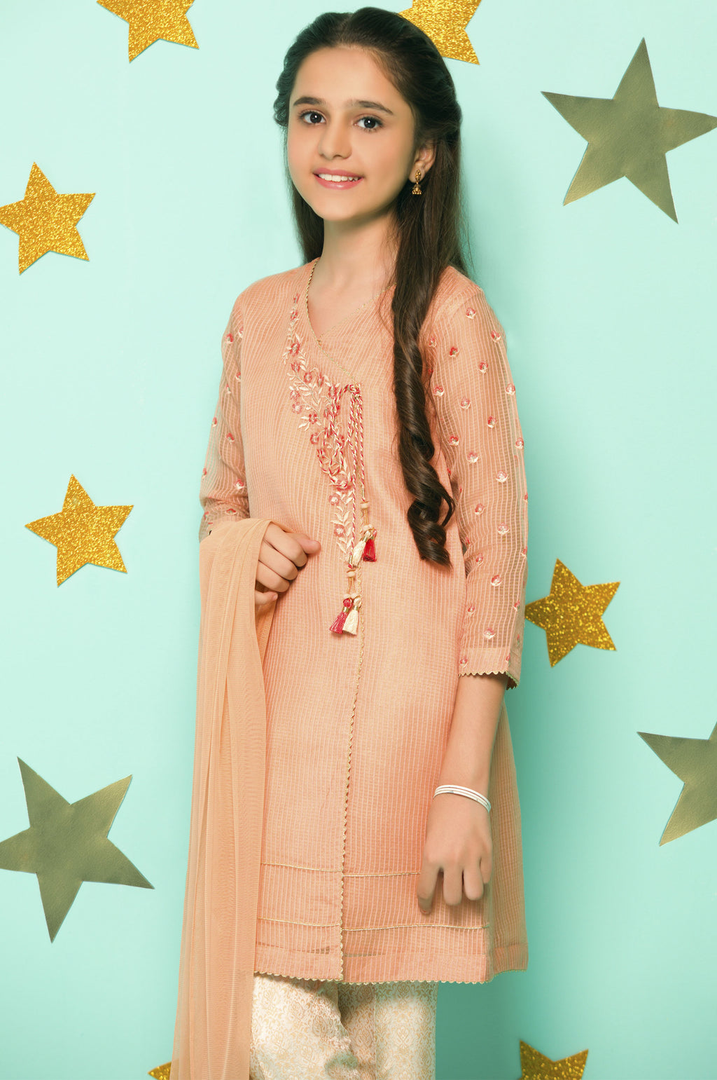 3 Piece Embroidered Suit-Checkered Organza