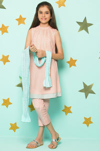 3 Piece Embroidered Suit- Net/Raw Silk
