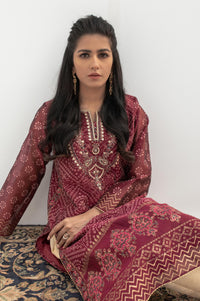 Stitched 1 Piece Block Print + Embroidered Shirt